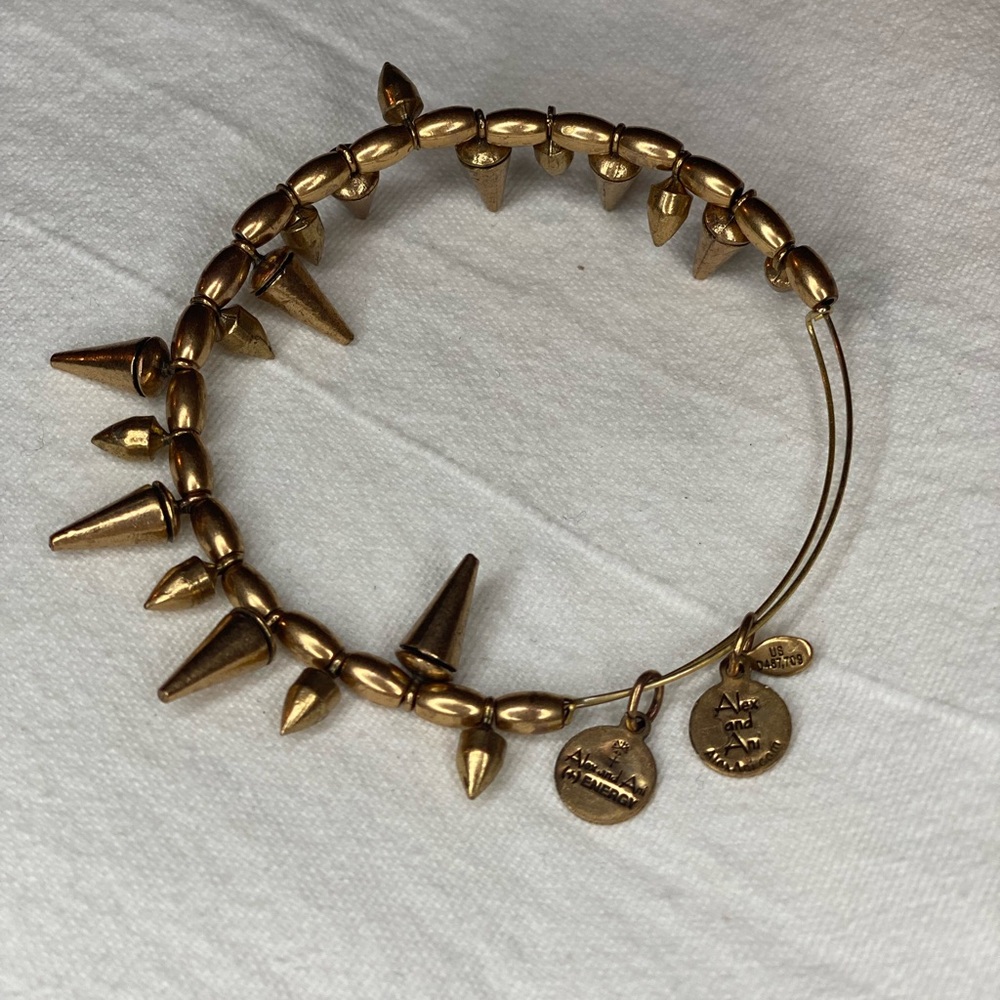 Alex & Ani Spike Bangle